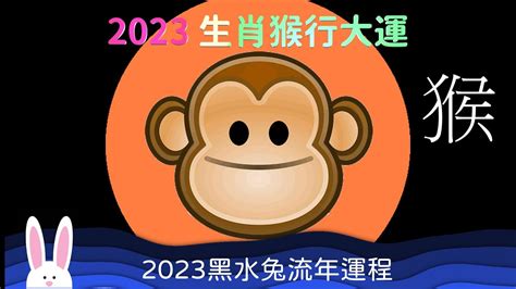 2023猴年運程1980顏色|【屬猴2023生肖運勢】財來財去，易一見鍾情｜屬猴 